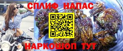 сатива Краснокаменск