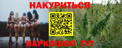 сатива Краснокаменск