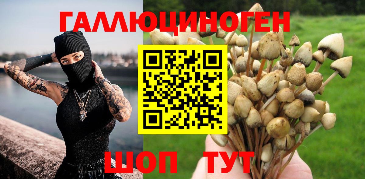 Галлюциногенные грибы Magic Shrooms Ефремов